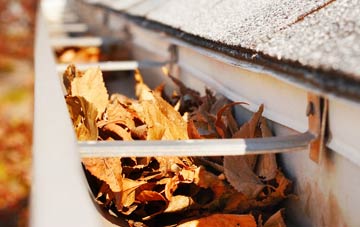 Lesnewth gutter cleaning companies